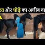 काला घोड़ा गोरी लड़की की चुदाई सेक्स कहानी चुदाई कहानी