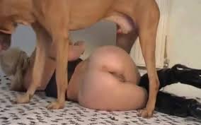 Mom Gets Fucked By Dog – Antarvasna – कुत्ते से चूत फाड़ चुदाई